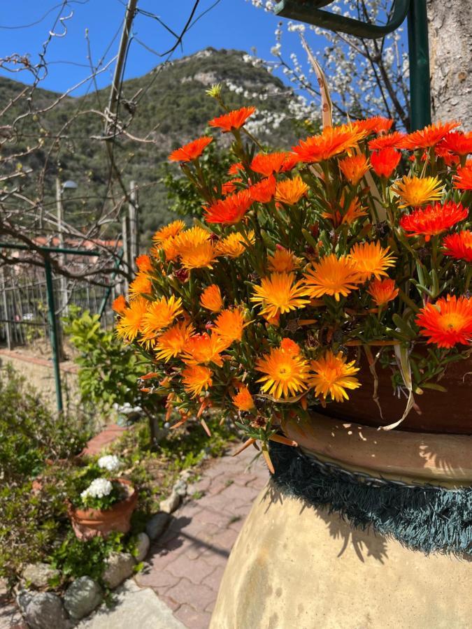 Rocca Di Corno Guest House Finale Ligure Exterior foto